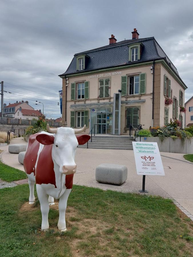 Appart' Duchatelain Lumineux, Vue Sur Chateau Montbeliard Exterior photo